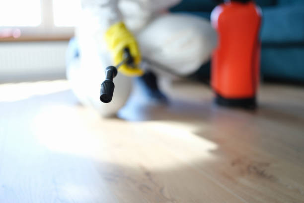 Best Asbestos and Lead Testing During Mold Inspection  in Spring Park, MN