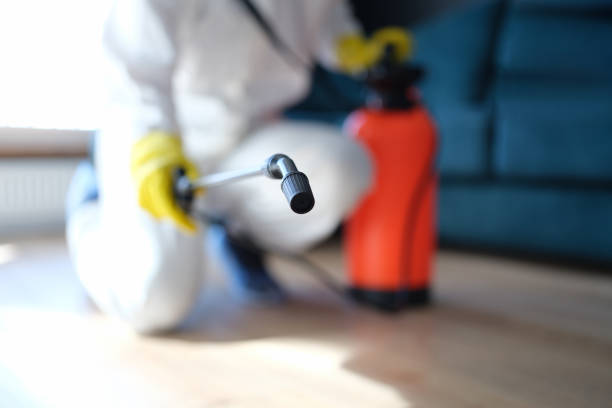 Best Air Quality Testing for Mold Spores  in Spring Park, MN